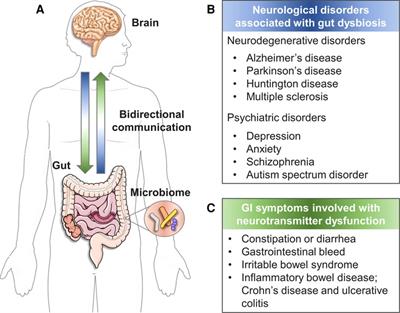 Recent advances in biofabricated gut models to understand the gut-brain axis in neurological diseases